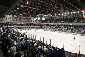 Arena-Nanook Hockey